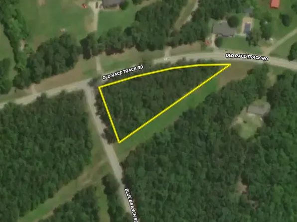 0 Blue Branch Rd Lot Wp00b, Gaffney, SC 29340