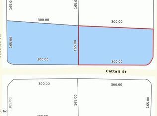 2356 Gardenia Ave, Middleburg, FL 32068