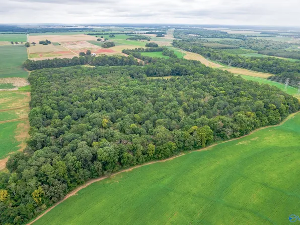 Huntsville Brownsferry Rd, Madison, AL 35756