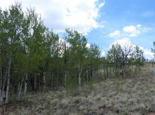 1237 Camelot Dr, Hartsel, CO 80449