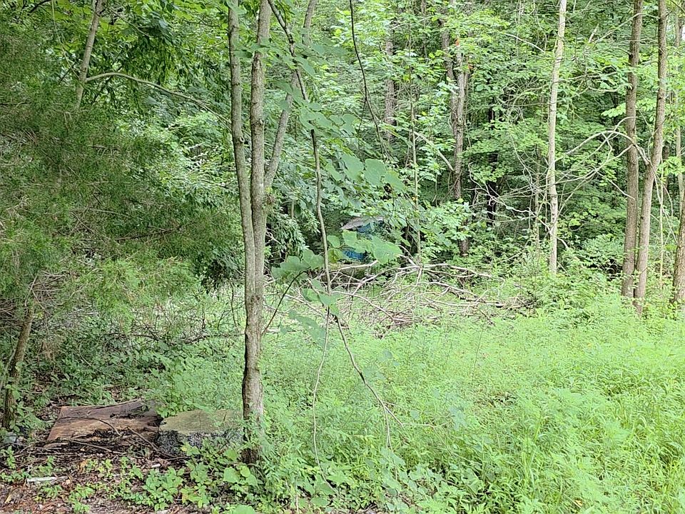 2nd image of 7128 N Oak Ridge Rd