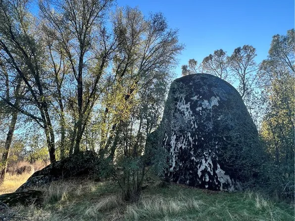 4248 Burl Dr, Mariposa, CA 95338