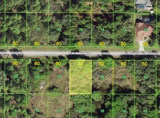 22467 Bradford Ave, Port Charlotte, FL 33952