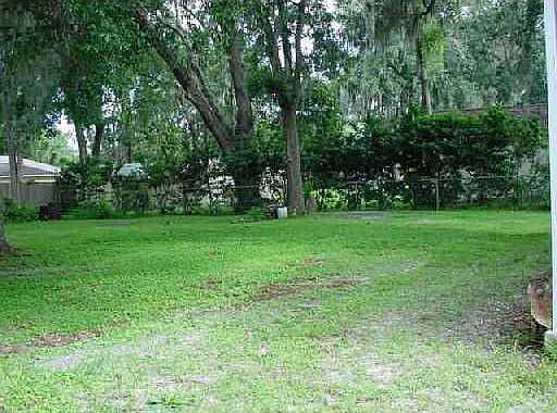 Back yard