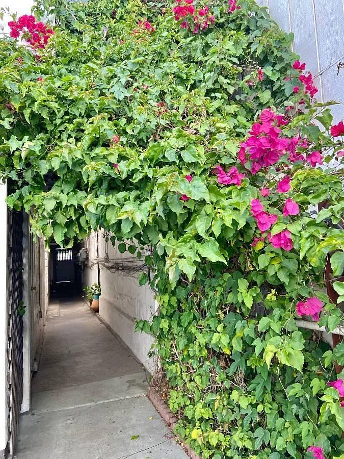 4 bed, $3,500 — Photo 1