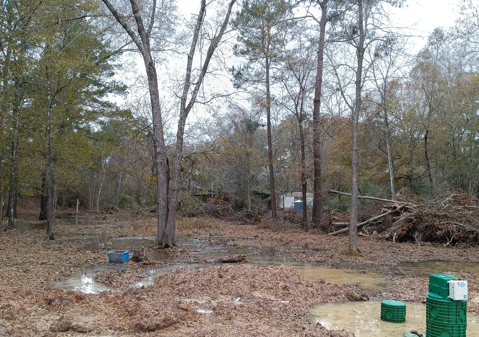 Royal Oaks, Magnolia — Photo 4