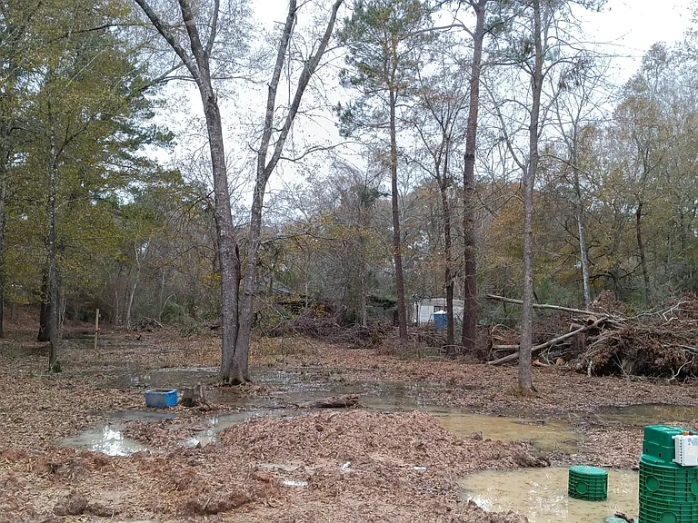 Royal Oaks — Photo 4