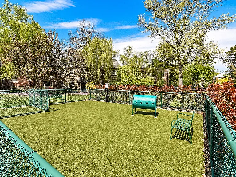 Dog Park