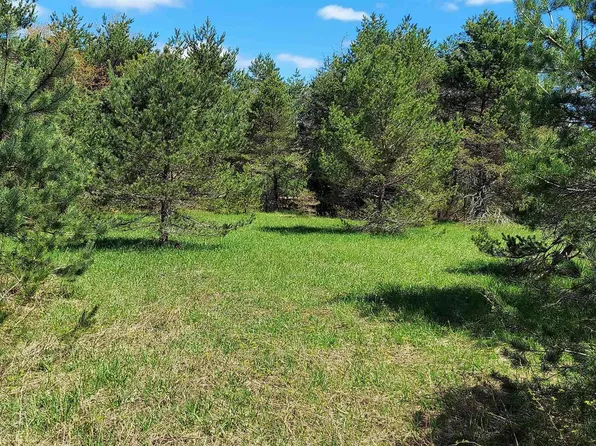 Johnson Rd, Mancelona, MI 49659