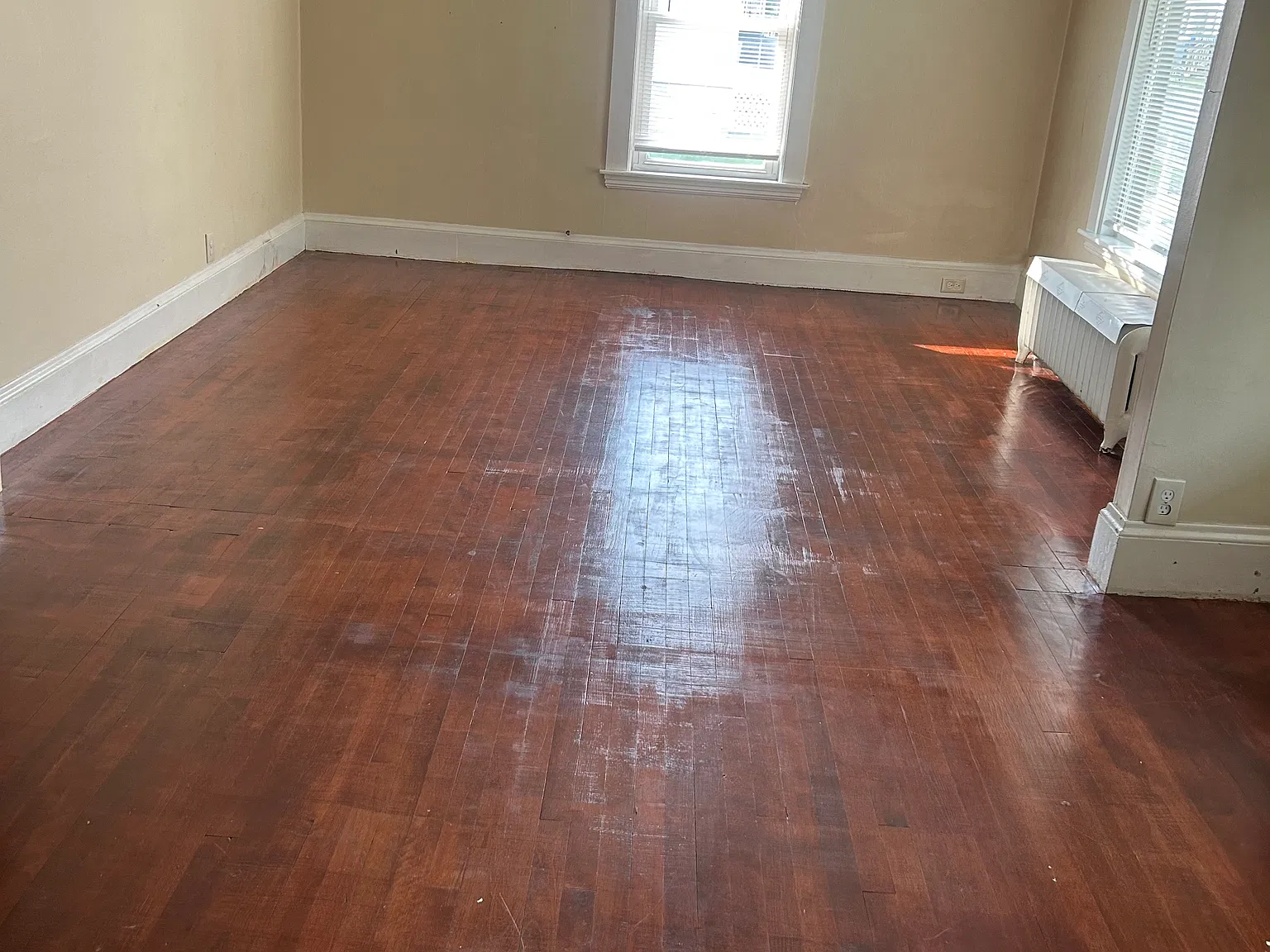 1 bed, 1000 sqft, $1,000 — Photo 2