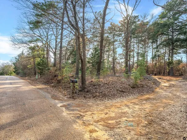 County Road 3520, Brownsboro, TX 75756