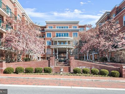 66 Franklin St Unit 302, Annapolis, MD, 21401