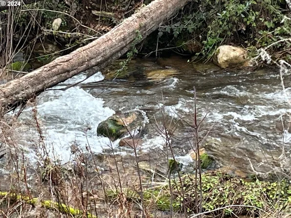 47983 McKenzie Hwy, Vida, OR 97488