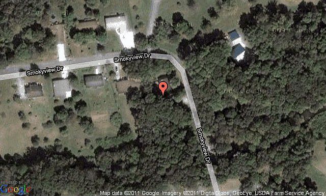 Map View