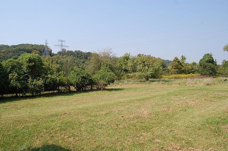Almost 11+ Acres of flat and clear pasture