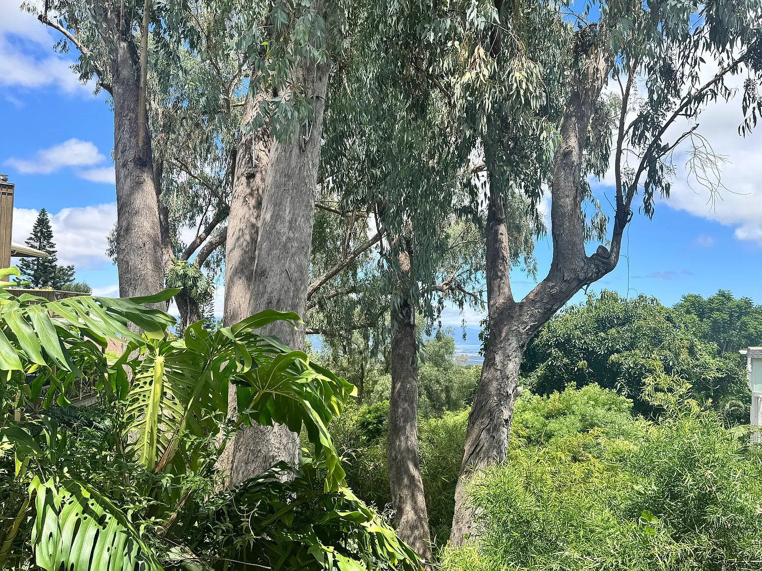 2 bed, 500 sqft, $2,650 — Photo 1