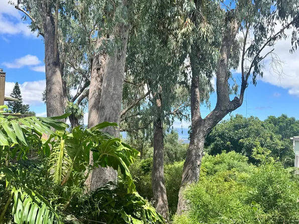 57 Akea Pl, Kula, HI 96790