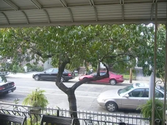 Rented by Avanguard Realty Corp | media 11