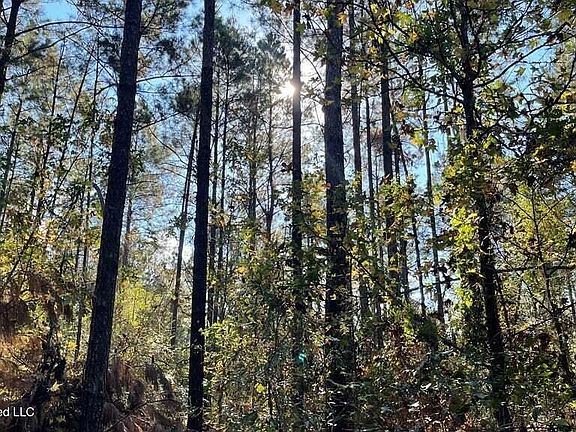 4th image of Delaware Ave