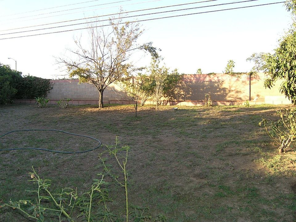 Big back yard with fruit trees