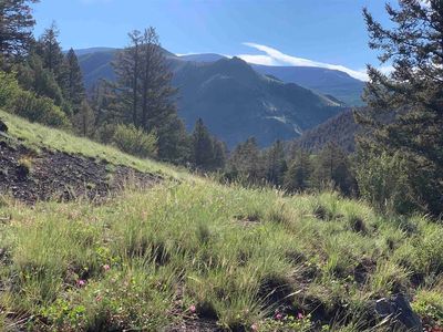 Evangeline County Road 20, Lake City, CO, 81235