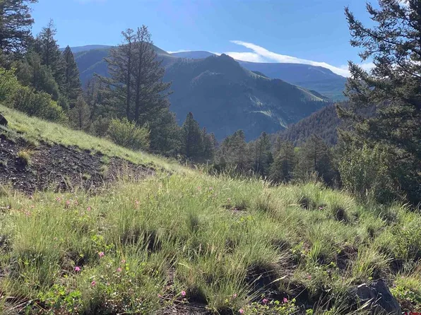 Evangeline County Road 20, Lake City, CO 81235
