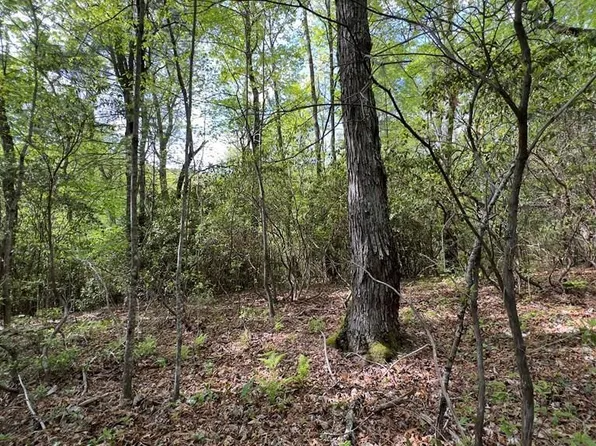 TBD Crestwood Road, Cashiers, NC 28717