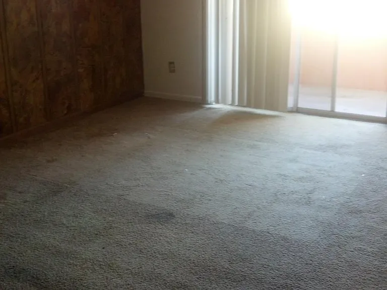 209 W Miracle Strip Pkwy #A203 — Photo 14