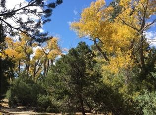 15 Cottonwood Loop, Mosca, CO 81146