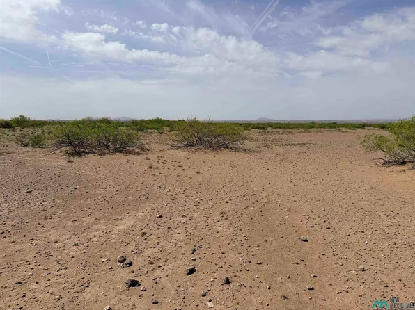 X Needles Eye Rd SE, Deming, NM 88030