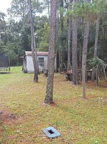 2nd image of 24 Gibson Rd