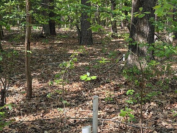 5th image of PARCEL 15 Newton Rd