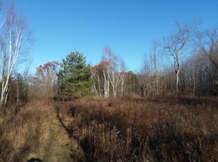 Burmon Rd, Kingston, MI 48729