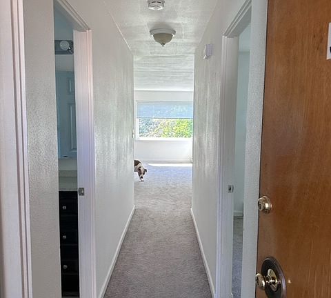 Entryway. Dog not included.