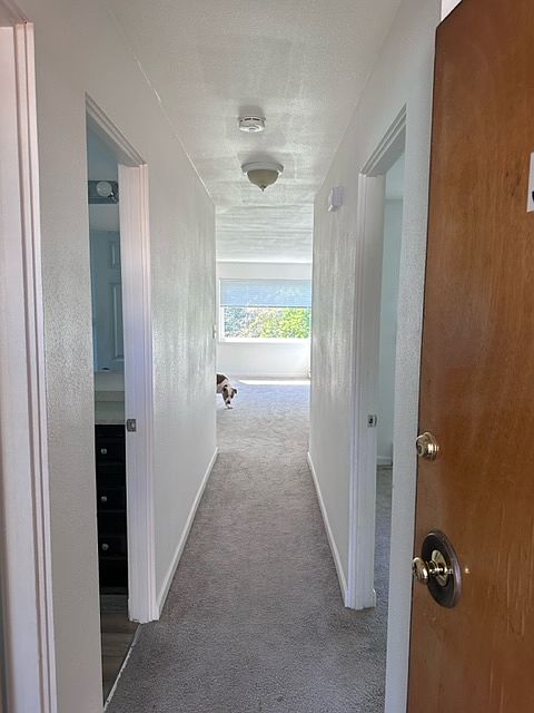 Entryway. Dog not included.