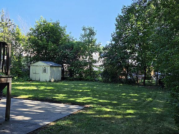 Back yard shared