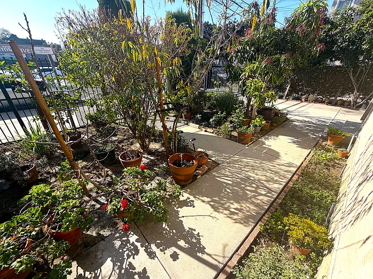 1503 W Adams Blvd — Photo 28