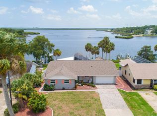 19 E Bayshore Dr, Pt Orange, FL 32127
