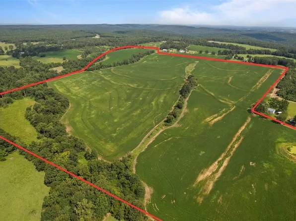 0 Bidwell Creek Rd, Fredericktown, MO 63645