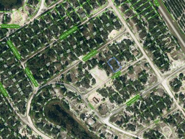 452 Blackbird Ct #13, Lake Placid, FL 33852