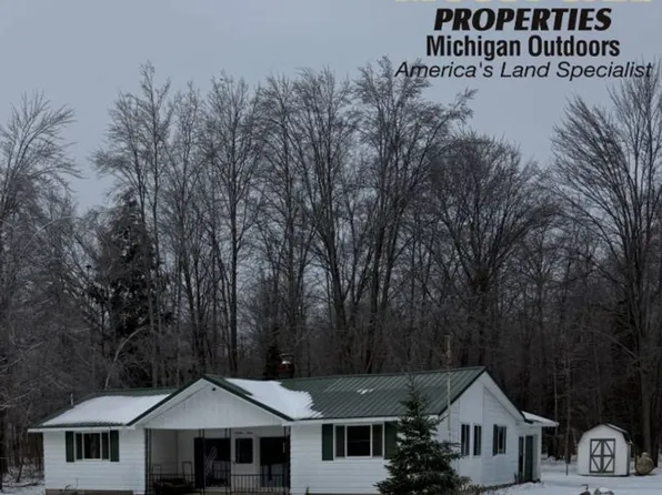 1490 S Sage Lake Rd, Hale, MI 48739