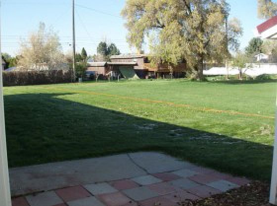 Huge yard
