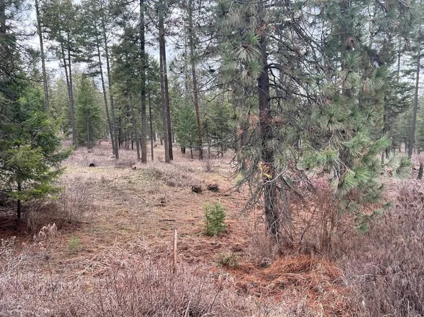 Nicholson Road Parcel Rd, Elk, WA 99009