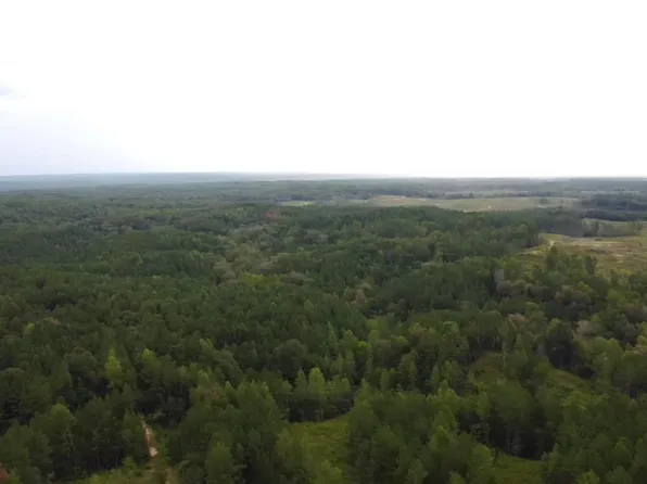 0 County Road 45, Silas, AL 36919