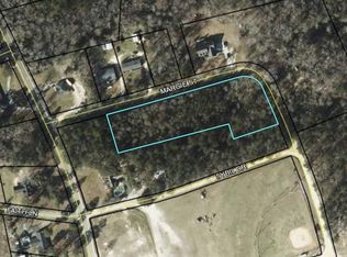 Margie Drive Undeveloped, Summerton, SC 29148