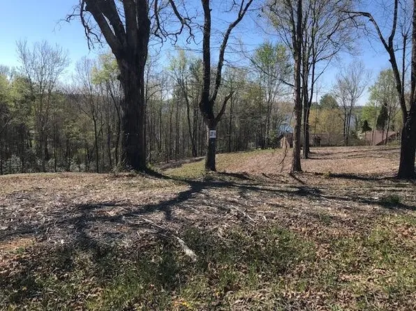 14 Piney View Dr, Spring City, TN 37381