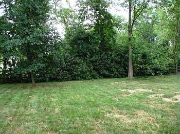 2nd image of 4183 Cannon Gate Dr