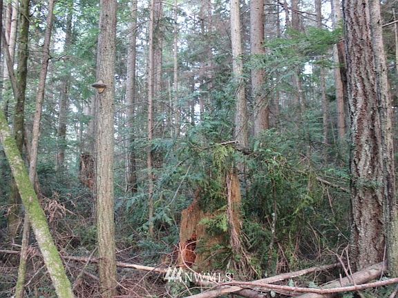 5th image of 0 SE Hoskins Hill Lane