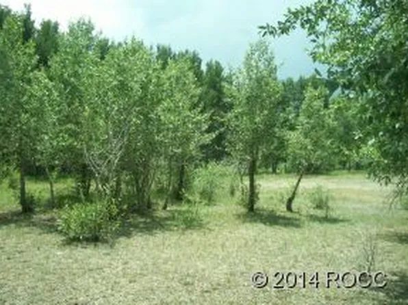 17541 Trout Cir, Buena Vista, CO 81211