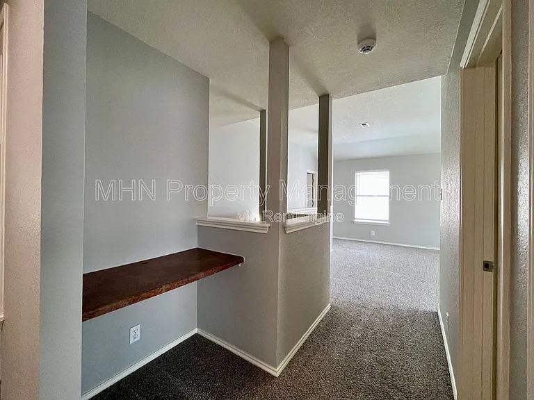 8734 Snow Goose — Photo 22